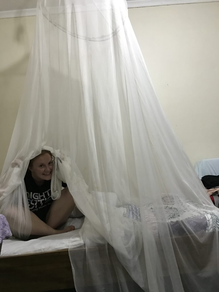 Personal mosquito nets